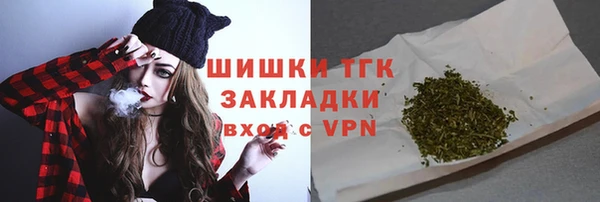 дживик Бронницы