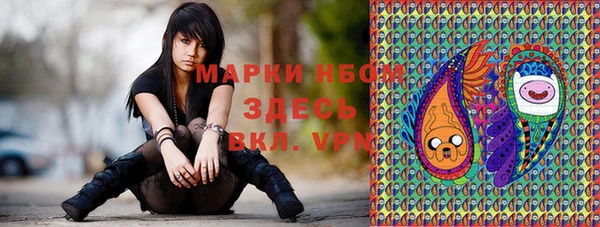 дживик Бронницы