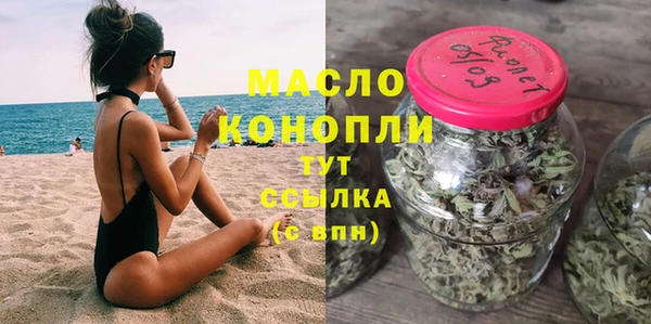 дживик Бронницы