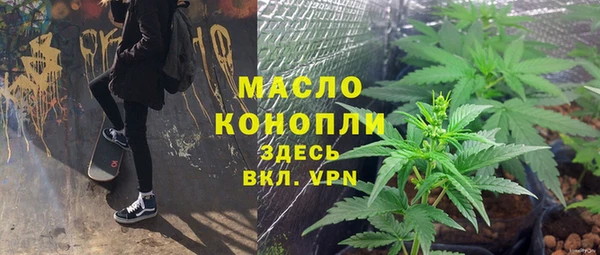 гашик Бородино