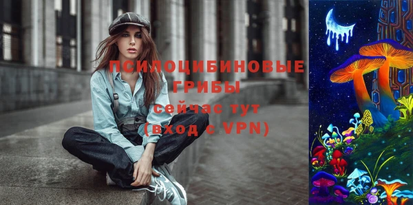 дживик Бронницы