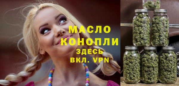 дживик Бронницы