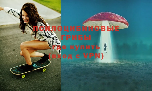 дживик Бронницы