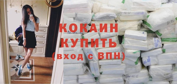 гашик Бородино