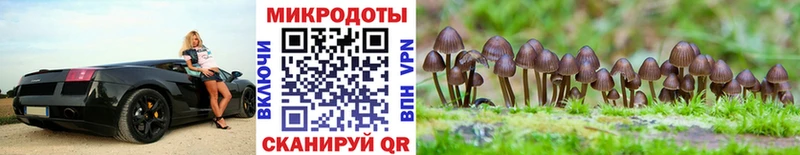 Галлюциногенные грибы MAGIC MUSHROOMS  даркнет клад  Катав-Ивановск  наркошоп  kraken как зайти 